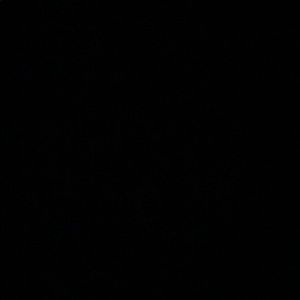 Meet your Posher, Lila